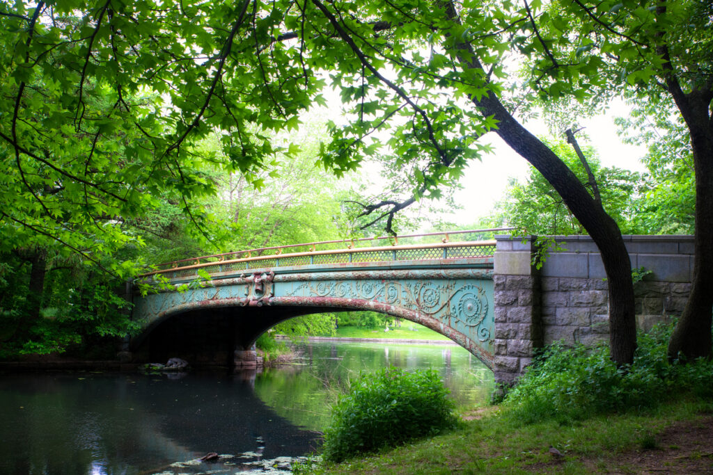 The historic Lullwater Bridge in Prospect Park on a summer day. Something you might see before a Celebrate Brooklyn! show.