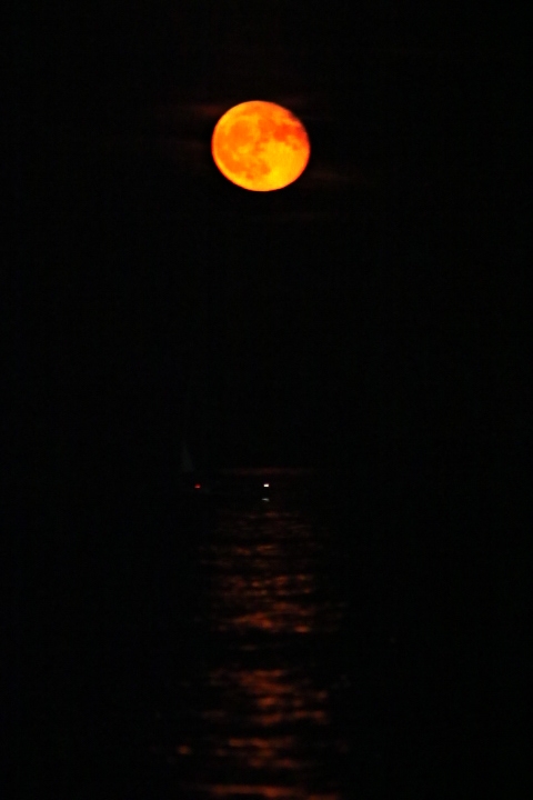 A photograph of a red moon rising over Coney Island.