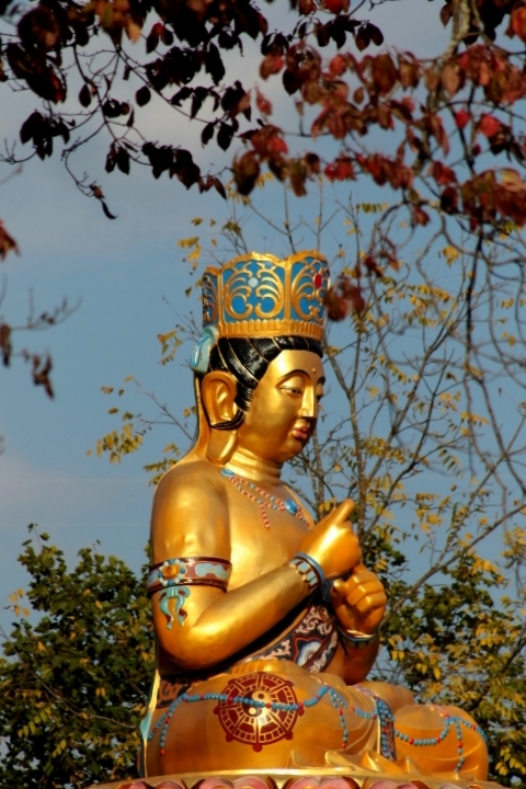 A golden Buddha statue. Go to Dorje Ling Buddhist Center to find inner peace in Vinegar Hill. 